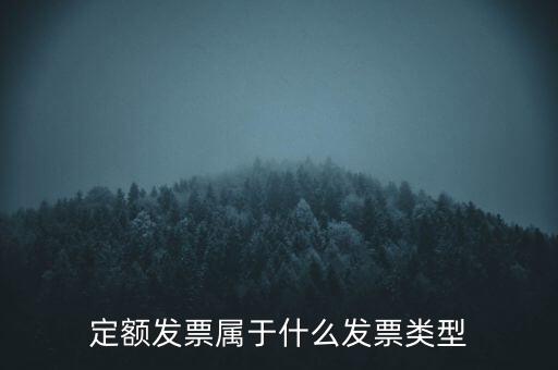 定額發(fā)票什么，河南省地稅定額發(fā)票怎么查詢(xún)