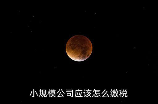 小規(guī)模公司按什么交稅嗎，一個(gè)小規(guī)模納稅公司國(guó)稅和地稅應(yīng)該都分別交什么稅