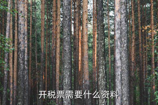 開(kāi)稅票需要什么資料