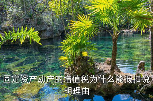 固定資產(chǎn)動(dòng)產(chǎn)的增值稅為什么能抵扣說(shuō)明理由