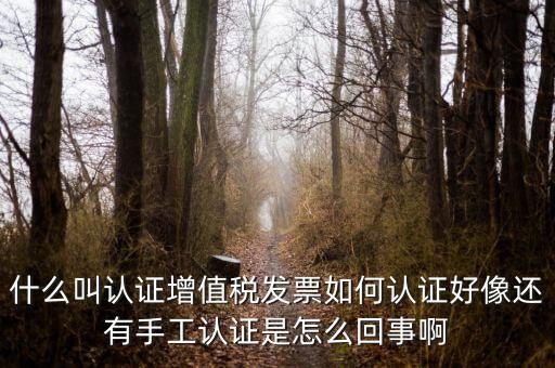 什么叫發(fā)票認證，什么叫認證增值稅發(fā)票如何認證好像還有手工認證是怎么回事啊