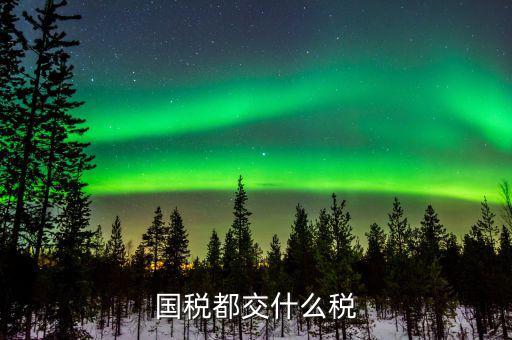 國稅稅費(fèi)是什么，國稅都交什么稅