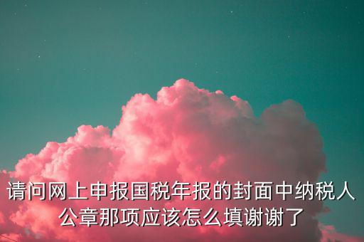 請問網(wǎng)上申報國稅年報的封面中納稅人公章那項(xiàng)應(yīng)該怎么填謝謝了