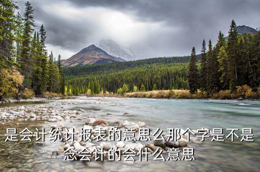 統(tǒng)計納稅申報表是什么，請問納稅申報中的基礎表數(shù)據(jù)中的基礎表是指什么