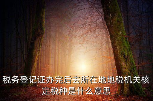 稅務(wù)登記證辦完后去所在地地稅機(jī)關(guān)核定稅種是什么意思