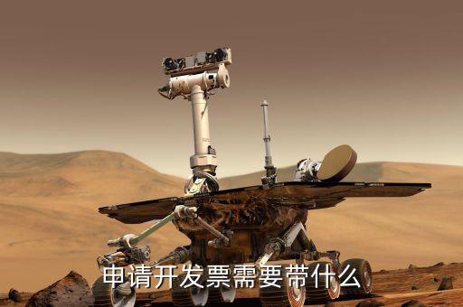 辦稅務(wù)發(fā)票需什么手續(xù)，申請開發(fā)票需要帶什么