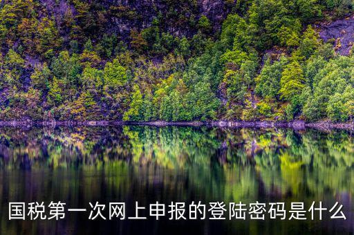 國(guó)稅第一次網(wǎng)上申報(bào)的登陸密碼是什么
