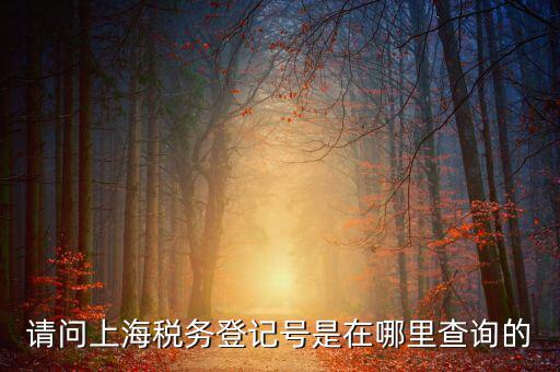 上海的稅務賬號是什么，請問上海稅務登記號是在哪里查詢的