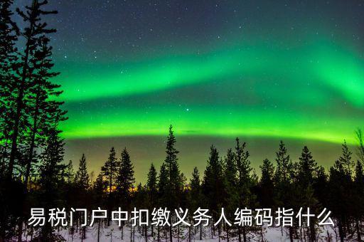 扣繳義務(wù)人識(shí)別碼是什么，易稅門戶中扣繳義務(wù)人編碼指什么