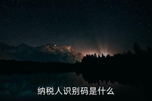 網(wǎng)上報稅納稅人識別碼是什么，納稅人識別碼是什么