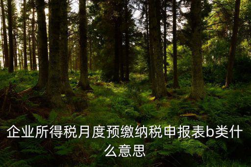 企業(yè)所得稅月度預(yù)繳納稅申報(bào)表b類(lèi)什么意思