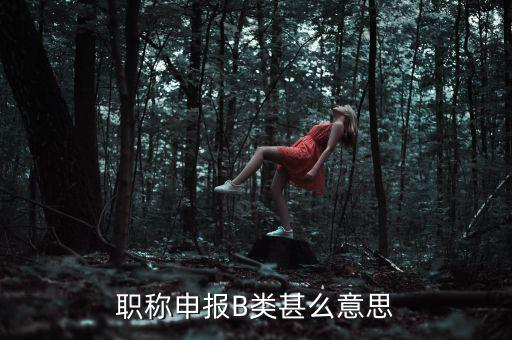 職稱申報(bào)B類(lèi)甚么意思