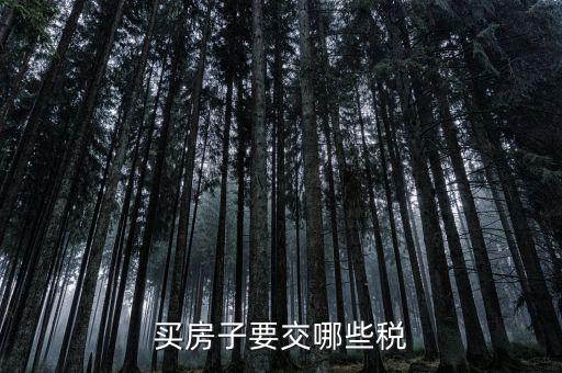 買稅需要什么手續(xù)費(fèi)，購(gòu)買車輛購(gòu)置稅需要哪些手續(xù)