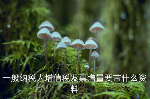 增加開票人需要什么資料，申請(qǐng)開票人變更需要哪些材料