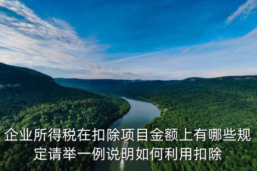 扣除項目金額是什么，應(yīng)稅服務(wù)扣除項目清單中允許扣除項目金額指的是什么是總