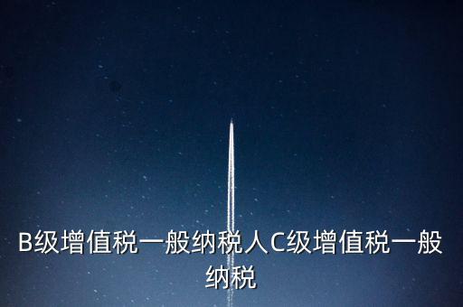 納稅用戶c級企業(yè)是什么意思，B級增值稅一般納稅人C級增值稅一般納稅