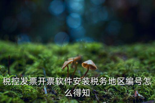 發(fā)票地區(qū)編號填什么，稅控發(fā)票開票軟件安裝稅務(wù)地區(qū)編號怎么得知