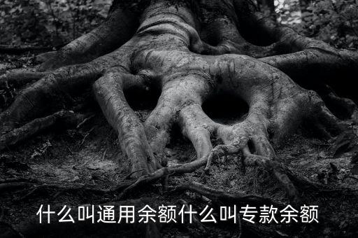 什么叫通用余額什么叫?？钣囝~