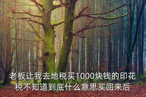 老板讓我去地稅買(mǎi)1000塊錢(qián)的印花稅不知道到底什么意思買(mǎi)回來(lái)后
