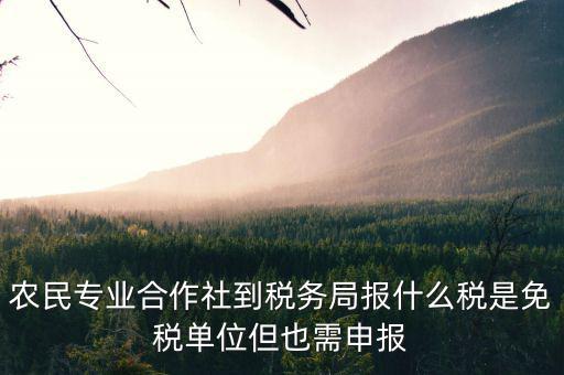 合作社應(yīng)報(bào)什么稅，農(nóng)民專業(yè)合作社是怎樣報(bào)稅的是企業(yè)還是個體戶