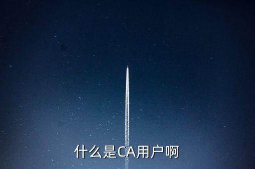 稅務(wù)總局ca系統(tǒng)是什么意思，Ca是什么