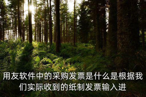 上下游采購發(fā)票是什么，用友軟件中的采購發(fā)票是什么是根據(jù)我們實際收到的紙制發(fā)票輸入進