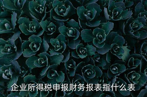 千戶集團財務(wù)報表申報是什么，2015年度財務(wù)報表和申報表指的是啥