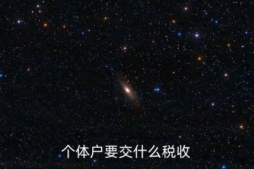 個體地稅交什么稅，個體戶要交什么稅收
