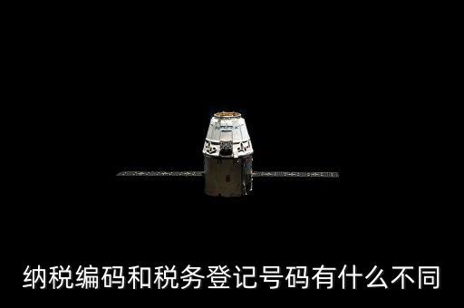 個人納稅編號是什么意思，納稅編碼和稅務登記號碼有什么不同