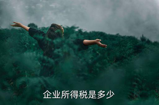 生產(chǎn)企業(yè)稅收標(biāo)準(zhǔn)是什么，企業(yè)所得稅是多少