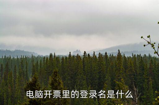 電子稅務(wù)局登錄賬號(hào)是什么意思，企業(yè)金稅盤(pán)系統(tǒng)用來(lái)開(kāi)票抄稅報(bào)稅用那登錄國(guó)稅地稅局網(wǎng)站是干嘛的
