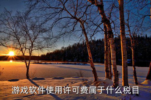 軟件使用費交什么稅，軟件使用費應開國稅發(fā)票還是地稅發(fā)票