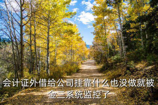 金三系統(tǒng)有什么問題，會計證外借給公司掛靠什么也沒做就被金三系統(tǒng)監(jiān)控了