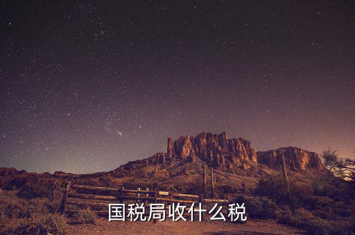 南寧國(guó)稅局收什么的稅，請(qǐng)教南寧國(guó)稅納稅具體多少以1000元收入為例