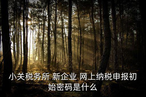 深圳國稅微信預約密碼是什么意思，小關稅務所 新企業(yè) 網(wǎng)上納稅申報初始密碼是什么