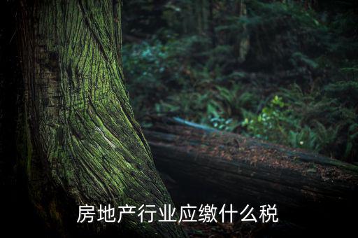 房地產(chǎn)企業(yè)要交什么稅，房地產(chǎn)行業(yè)應(yīng)繳什么稅