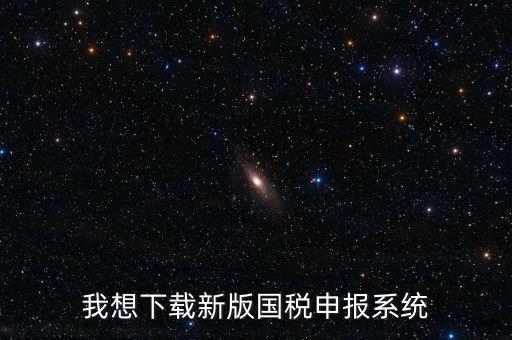 有什么報(bào)稅系統(tǒng)下載，我想下載新版國(guó)稅申報(bào)系統(tǒng)
