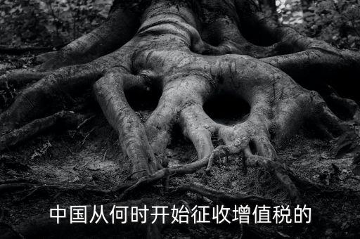 什么時(shí)候征收增值稅，批發(fā)零售業(yè)增值稅征收率什么時(shí)間開始為3