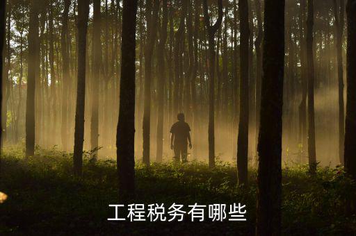 稅務(wù)三代項(xiàng)目是什么，通常說的三稅是指什么啊