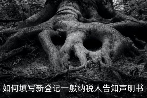 納稅人聲明是什么意思，一般納稅人申報(bào)表主表的申明人必須輸入是什么意思