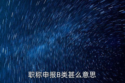 職稱(chēng)申報(bào)B類(lèi)甚么意思
