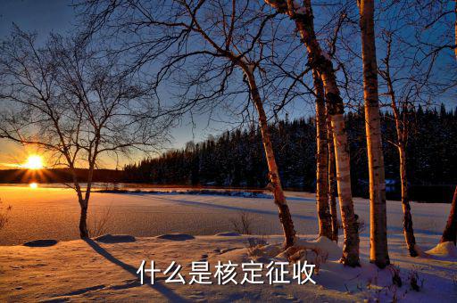 什么是核定征收稅款，核定征收是什么意思