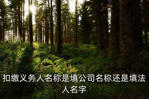 扣繳義務人名稱是填公司名稱還是填法人名字