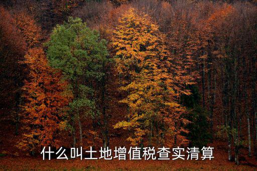 土地增值稅為什么清算，土地增值稅清算