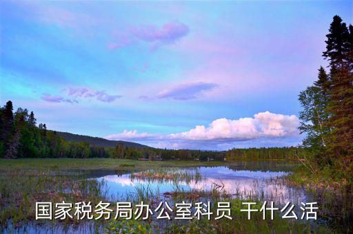 國稅行政辦公室干什么，國稅局辦公室怎么樣