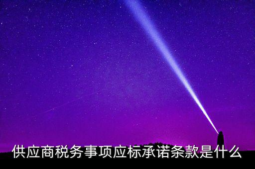 供應商稅務(wù)事項應標承諾條款是什么