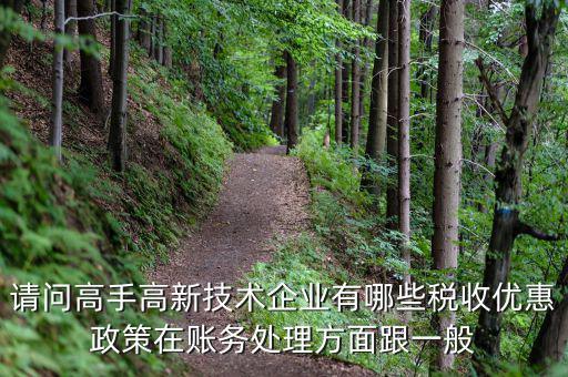 請(qǐng)問高手高新技術(shù)企業(yè)有哪些稅收優(yōu)惠政策在賬務(wù)處理方面跟一般