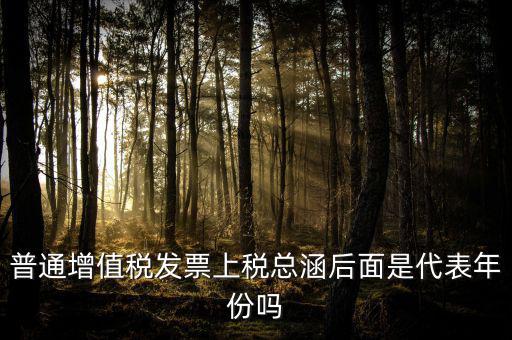 稅總涵2016是什么意思，普通增值稅發(fā)票上稅總涵后面是代表年份嗎