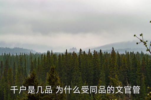 什么千戶集團，千戶是什么意思