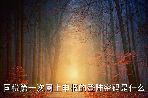 網(wǎng)上稅稅通密碼是什么，國稅第一次網(wǎng)上申報的登陸密碼是什么